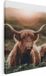 Artaza Canvas Schilderij Schotse Hooglander Koe In De Zon - 60x80 - Canvas Print
