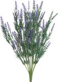 Everlands Lavendel Kunstplant - Kunststof - Paars - 18 x 10 x H43 cm