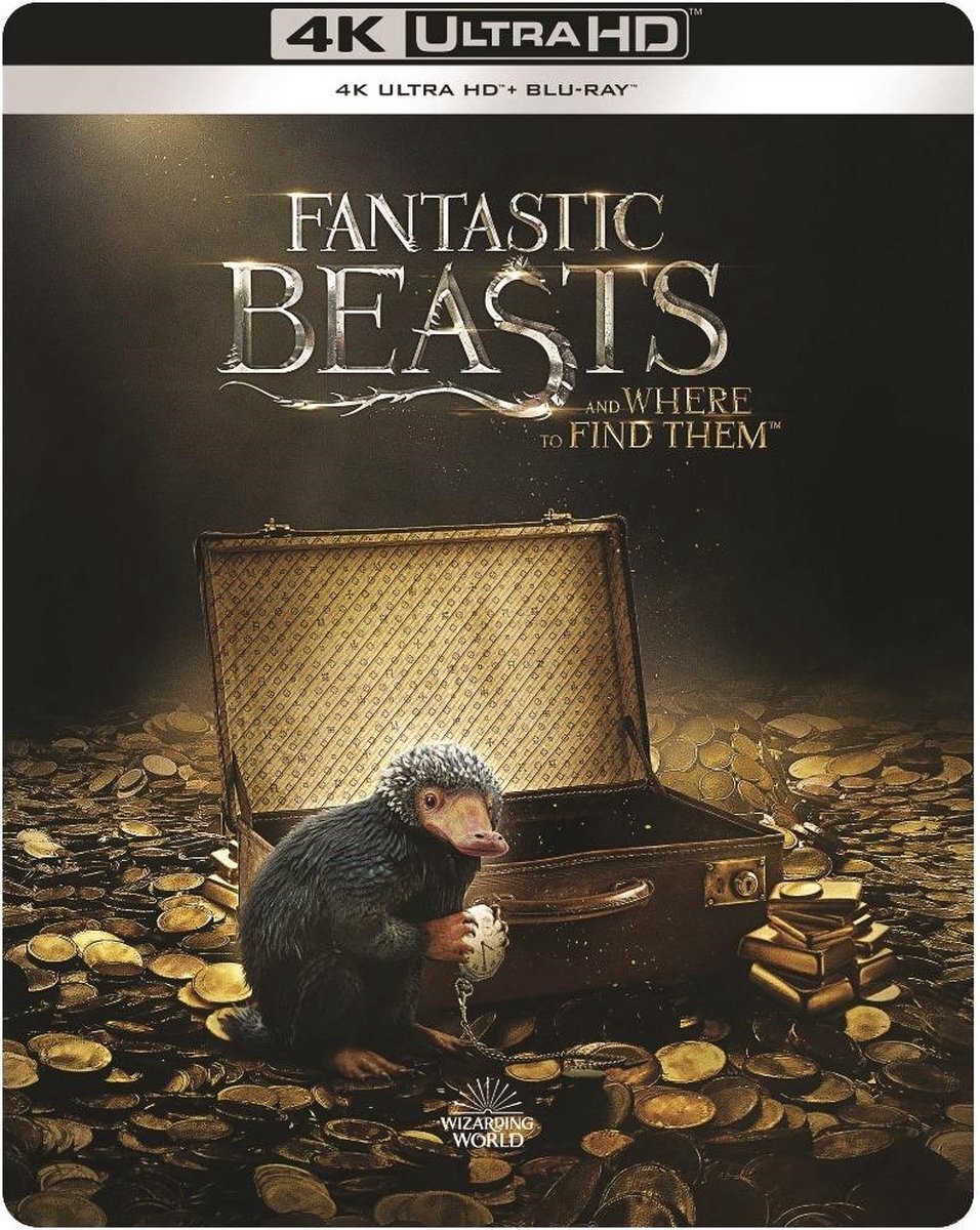 Warner Home Video Fantastic Beasts And Where To Find Them (4K Ultra HD Blu-ray)