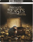 Warner Home Video Fantastic Beasts And Where To Find Them (4K Ultra HD Blu-ray)