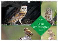 La Calvendo La vie des chouettes, les dames de la nuit (Calendrier mural 2027 DIN A3 vertical)