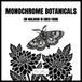 Monochrome Botanicals Malbuch in einer Farbe: Einfache Schwarz-Weiß-Blumenmotive zum Ausmalen für Erwachsene, Kinder – Achtsame und beruhigende Blumen ... einer Farbe zum Ausmalen mit nur einem Stift