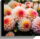 Merkloos / Sans marque Take your time Canvas - Bloemen - Closeup - Kleuren - Natuur - 30x30 cm Foto op Canvas Schilderij (Wanddecoratie op Canvas)