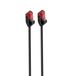 Ewent IM1045 câble réseau Noir 1,5 m Cat6 U/UTP