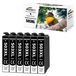 Epson 6 x 503XL cartouches d'encre, noir, compatible avec Epson