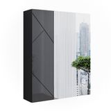 Vicco Irma Badkamerspiegelkast – 60 x 75 cm Antraciet hoogglans/antraciet
