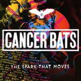 Membran 17% Fee Cancer Bats The Spark That Moves