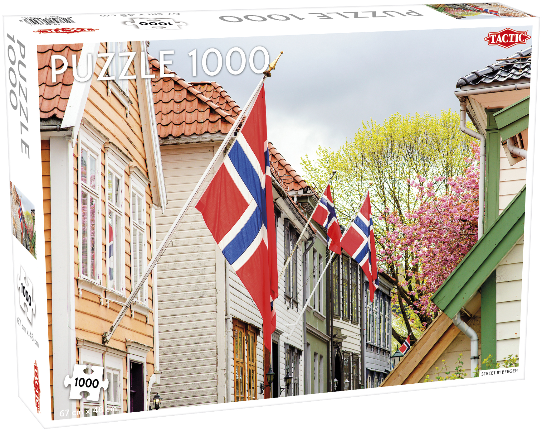 Tactic Around the World, Northern Stars: Street in Bergen (with Norwegian Flags) - 1000 stukjes