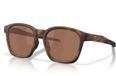 OAKLEY SHACKLE Matte brown tortoise Zonnebril Heren