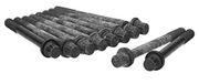 Cylinder Ajusa Cylinder head bolt set