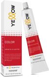 Alfaparf Yellow - Professional Permanent Haarverf 100ml - No. 5 Licht Bruin