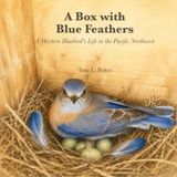 A Blue Feathers A Box with Blue Feathers: A Western Bluebird's Life in the Pacific Northwest