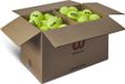 Wilson Tennisballen Triniti Club Drukloos Doos 72 Ballen