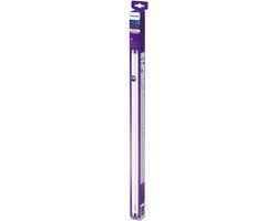 Philips LED T8 Tube | 8W | 4000K Cool White | G13
