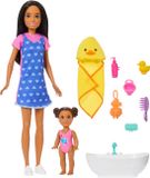 Barbie Family & Friends Doll and Accessories