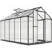 Serre de jardin en aluminium et polycarbonate, abri de culture avec vitres supérieures ajustables 303x183x195cm transparent
