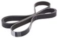 JAPANPARTS JPDV-7PK2195 V-riem