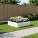 VidaXL Plantenbak wit 80 x 80 x 30 cm koudgewalst staal