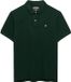 Superdry Vintage Destroy Korte Mouw Poloshirt Groen M Man