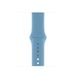 Apple Sport Band Apple Watch 38mm / 40mm / 41mm / 42mm Cornflower