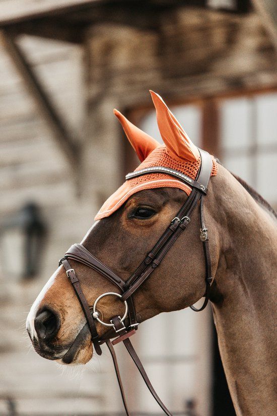 Kentucky Wellington Velvet Oornetje - Rood - Full