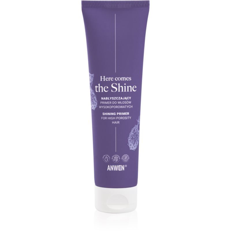Anwen Here Comes The Shine Glossing Primer For High Porosity Hair 100ml