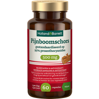 Holland & Barrett Pijnboomschors 500mg - 60 capsules