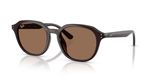 Ray-Ban RB4459D 623173 54 Modieuze zonnebril