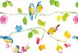 Watercolor Birds Note Cards