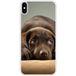 iPhone XS Max Chiot marron bedrukt siliconen hoesje