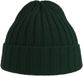 Atlantis Headwear Shore Beanie Bottle Green