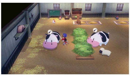 Just For Games Story Of Seasons: Grand Bazaar PS5