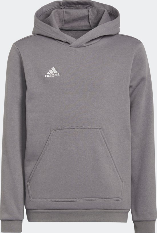 adidas Performance Entrada 22 Sweat Hoodie - Kinderen - Grijs- 140