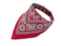 Nobby Halsband met doek, rood L: 40 cm, 1 stuk