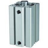 Korte RIEGLER Korte cilinder »ACQ« dubbelwerkende magneet, IG, zuiger Ø 40, hub 55, aansluiting G 1/8, werkdr. 1-10 bar, temp. -20 °C tot 70 °C