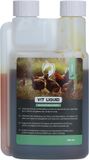 Excellent Vit - Liquid Multivitamine - 250 ml