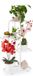 Merkloos Relaxdays plantenstandaard metaal - 4 etages - binnen - buiten - 81x44x24,5 cm - wit