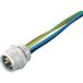 Weidmüller 1292400000 Sensor/actuator inbouwconnector 7/8 Aantal polen (sensoren): 4 Stekker, inbouw 1 stuk(s)