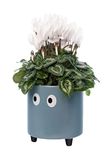Fisura - Decoratieve plantenbak met ogen. Originele bloempot voor binnen. Pot met pootjes voor cactus. Keramische bloempot. Afmetingen: 13 x 12,5 cm. (Blauw)