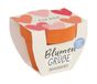 Grafik-Werkstatt Bloemengroeten zomerbloemenmix | mini-terracotta potjes met zaden | voor jou, oranje