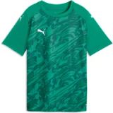 PUMA teamFINAL Graphic Jersey Jr, 128, Sport Groen Wit-Power Groen