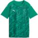 PUMA teamFINAL Graphic Jersey Jr, 128, Sport Groen Wit-Power Groen