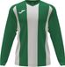 Joma Pisa II Voetbalshirt Lange Mouw Kinderen - Groen / Wit | Maat: 164