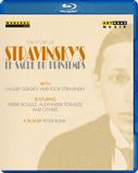 Igor Stravinsky Gergiev - Le Sacre Du Printemps The Story Of.