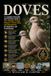 DOVES: A Complete Scientific and Practical Guide to Dove Biology, Ecology, Behavior, Conservation, and Management for Beginners and Professionals