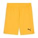 PUMA Teamgoal Jr Tricoté Mixte Shorts