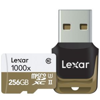 Lexar LSDMI256CBEU1000R