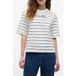 Tommy Hilfiger Classic Script T-shirt Fine Ecru/dark Night Navy