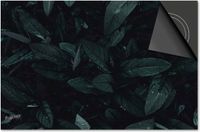 Dietrix Inductie beschermer 78x52 - afdekplaat inductie mat - Dietrix Kookplaat beschermer - Exclusief - Leaves - 16 Blaadjes met druppels