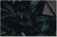 Dietrix Inductie beschermer 78x52 - afdekplaat inductie mat - Dietrix Kookplaat beschermer - Exclusief - Leaves - 16 Blaadjes met druppels